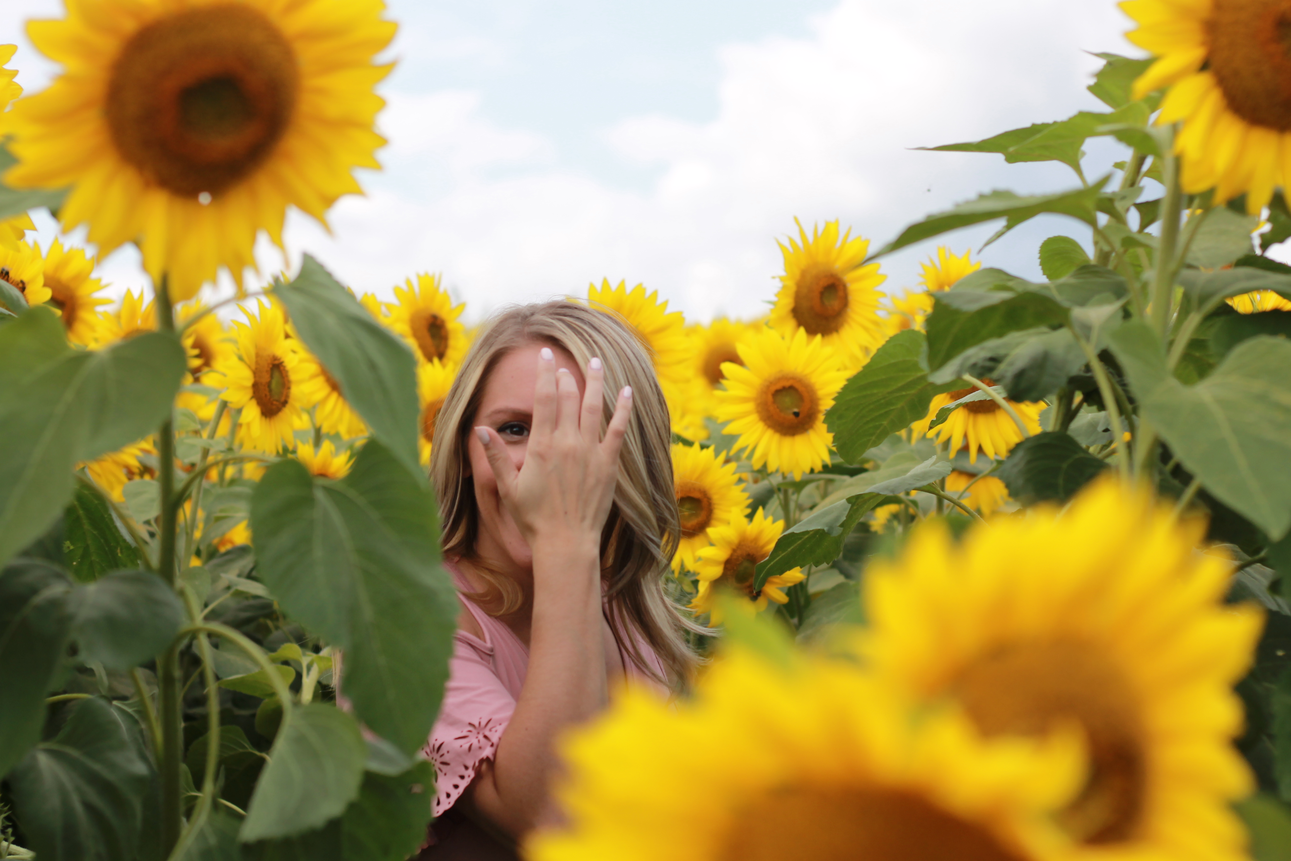 Photoshoot in sunflower field at Colby Farmstand in Newbury, MA | Our Little Home Style
