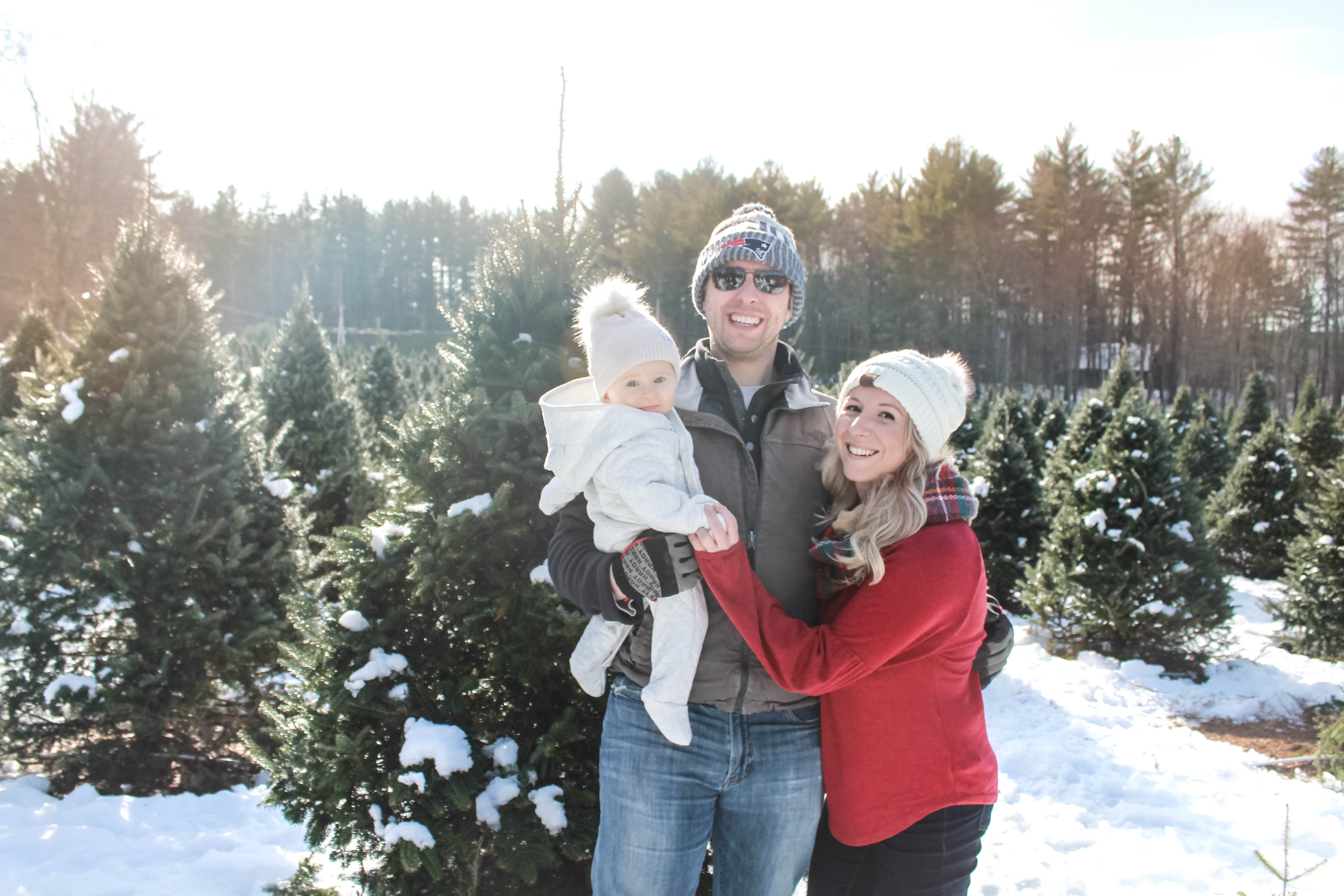 Annual Christmas Tree Hunt at D.J. Hussey Farm
