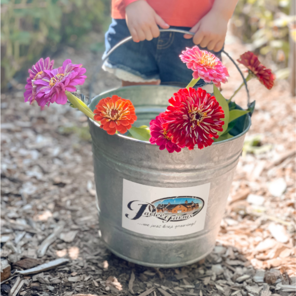 Pick Your Own Flowers Bucket Parlee Farms | Kristen Fitzpatrick Realtor