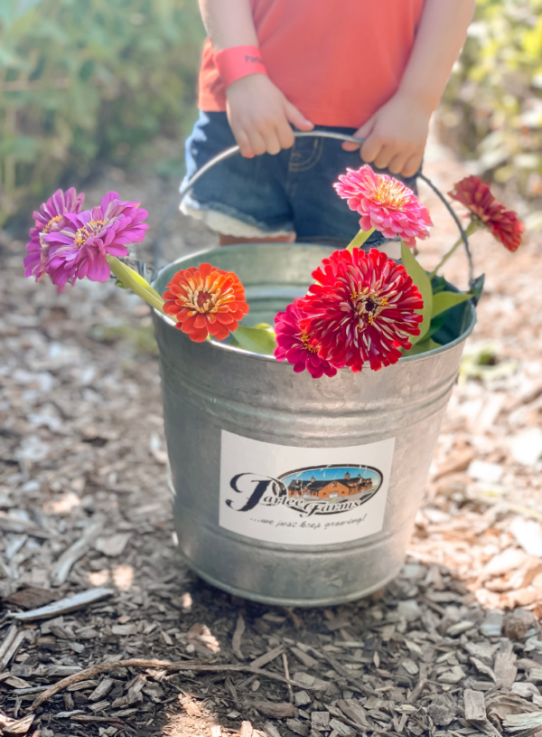 Pick Your Own Flowers Bucket Parlee Farms | Kristen Fitzpatrick Realtor