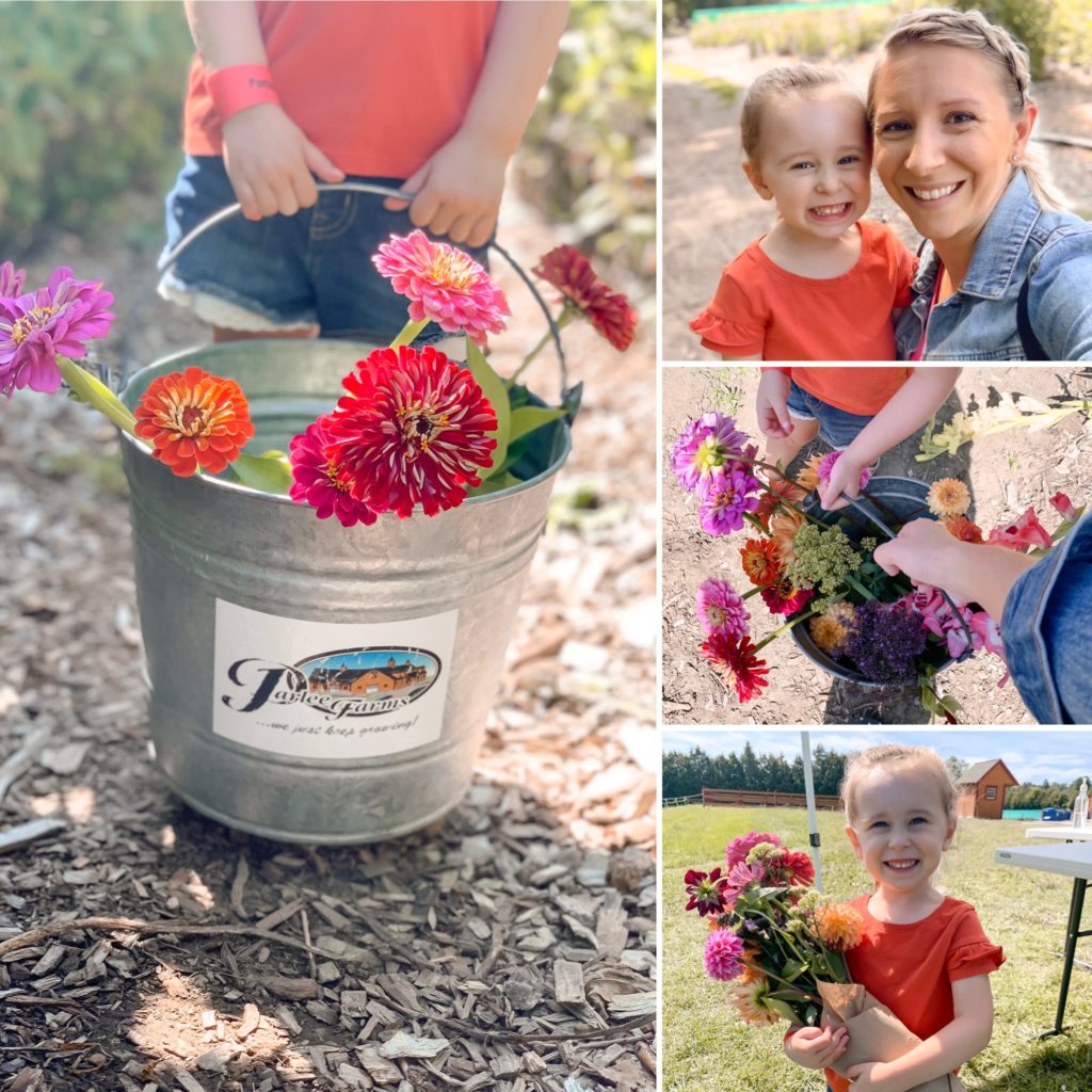 Pick your own flowers at Parlee Farms in Tyngsborough, Massachusetts | Kristen Fitzpatrick Realtor